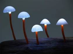 lady-feral:  heidruna:  leslieseuffert:  Yukio Takano (Japan) Mushroom Light Lamps  oh.my.god     I want these in every room. 