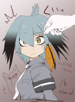 mrorphans:  ハシビロコウちゃんの目って   she’s not angry, its just her hair lol