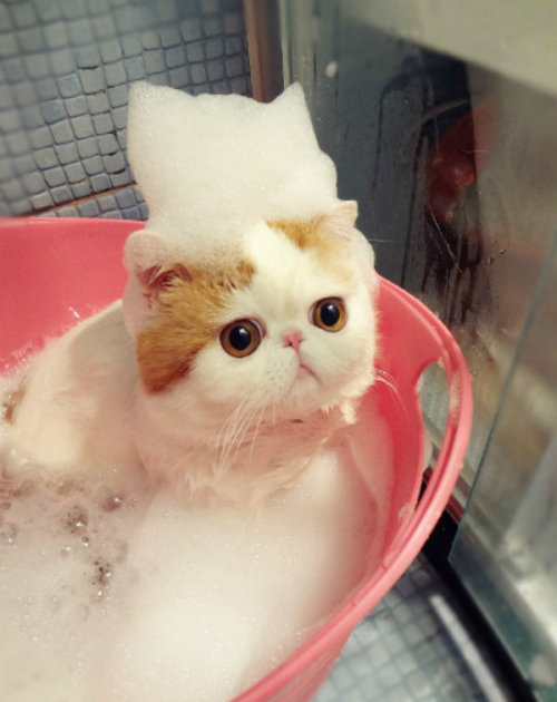Babe taking a bubble bath