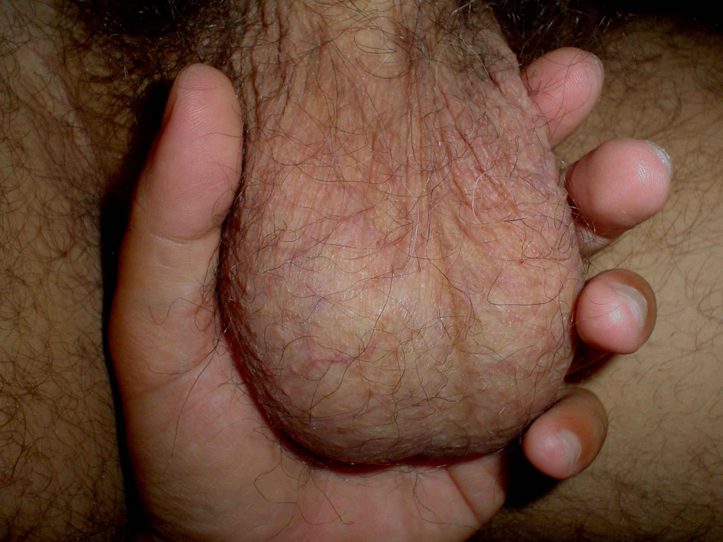 Naked hairy men with big balls