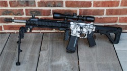 gunrunnerhell:  6.5 Grendel A custom built AR-15 in a caliber that has slowly been gaining in popularity. 6.5 Grendel has even been adapted for use in some AK rifles. If I had one criticism of the rifle in the photos, it’s the “skull” finish on