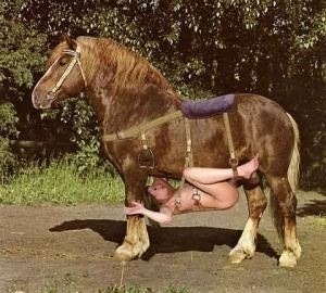 Sex with horse cock