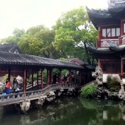 Yuyuan garden #sgg #shanghai #china #explorethecity #studyabroad