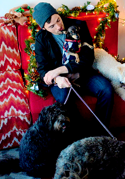 ianspainharding:  Ian Harding Cuddling With Adorable Puppies Is Actually Everything   @AnnaBanks: isn&rsquo;t he the cutest?!