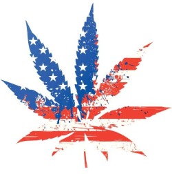 Legalize freedom! Are we really free?