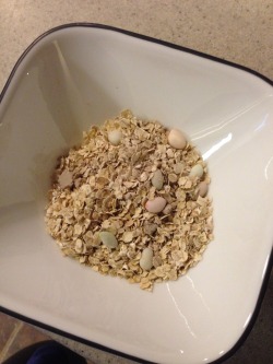 dashdrive:  this oatmeal has god damn dinosaur eggs in it and then when you cook it THE DINOSAURS FUCKIN HATCH IM SO PUMPED 