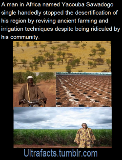 ultrafacts:  Yacouba Sawadogo is an exceptional man – he single-handedly managed to solve a crisis that many scientists and development organizations  could not. The simple old farmer’s re-forestation and soil conservation  techniques are so effective