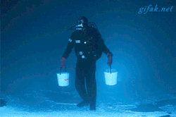 coolbeansdude16:  emptyheadgamer:  maihyuga:  underscorex:  THERE IS WATER AT THE BOTTOM OF THE OCEANCARRY THE WATERREMOVE THE WATER  thats not the bottom of the ocean that diver is upside down under ice and carrying air in that bucket omg.   *turns