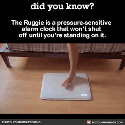 threefeline:  did-you-kno:  The Ruggie is a pressure-sensitive alarm clock that won’t shut off until you’re standing on it.  Source   