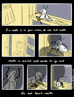 stem-cell:  tenaciousbee:  phoenixblueart:  Be Kind to Moth A short comic based on this post that’s been going around.  As a bee myself, insects are your friends guys. I love moths!  oh 