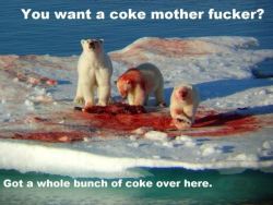 Ya polar bears are gangsta&hellip; you didnt know?