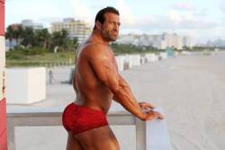 muscles-and-ink:  Joseph Tenuta