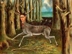 simplemente-fridakahlo:The Wounded Deer 1946 Frida Kahlo painted this while in New York where she was depressed that the operation to finally fix her back problems didn’t resolve anything.  El Venado Herido 1946 Frida Kahlo pinto esto, estando en Nueva