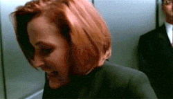phearts:THE X-FILES IS BACK. (gif by doyouthinkimspooky)