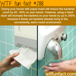 wtf-fun-factss:  Drying your hands with paper towel - WTF fun facts