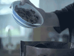 prguitarman:  vegannvagina:  greendayloveharrypotter:  penguinhumor:  spankmehardbarry:  i hate it when i accidentally pour cereal into my purse  omg her face “fucking christ not again”  you guys realise this is a British advertisement for constipation