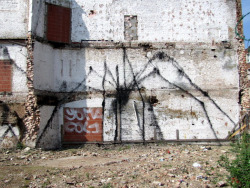 autopsi-art:  Spider de Bonom 