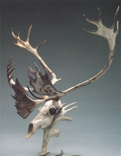 terresauvage:  Peter Morgan (Inuit); Unititled (Caribou Skull), n.d. 