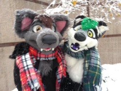 aceofheartsfox:Happy fursuit Friday from me and @clockworkcoon :3