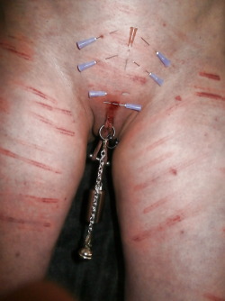 BDSM, needle play etc., pierced pussy with rings and bars.