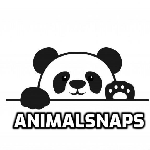 Animal snaps