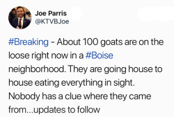 morathor: tastefullyoffensive: The goatpocalypse is upon us. (via KTVBJoe) Updates have since come on this subject; we now know where the goats came from and I gotta tell you, it is better than you could possibly imagine.  See. These goats got loose