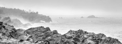 &ldquo;Naked Coastline&rdquo; Oregon Coast-jerrysEYES what a location for some nude work - wish, wish, wish