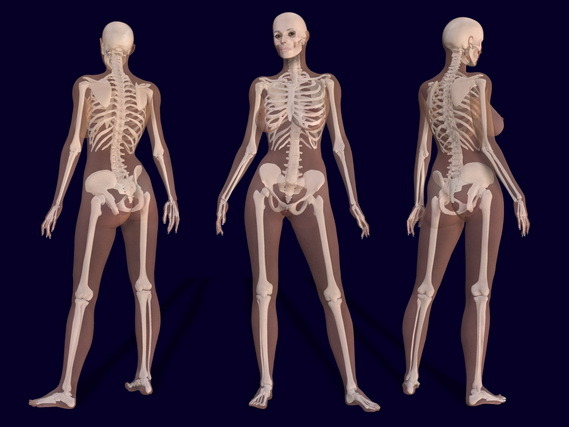 Female human body parts