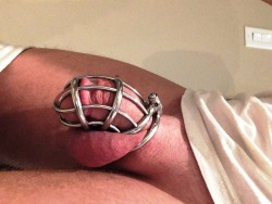 caged-cdn-boi:  Me in the new Jail Bird.  Able to lock my PA over the end of the cage. 