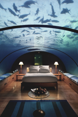 beautifulthings469:  drugera:  Conrad Maldives Underwater Hotel  