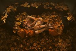 Autumn sleeping by Artofdan