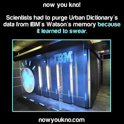 zarlizzard:  joetheyarharpirate:  jammerlee:  nowyoukno:  Source for more facts follow NowYouKno  Emergent behavior at its finest! XD  “And now we would like to demonstrate Watson, the latest in artificial intelligence. How are you, Watson?” “Fuck