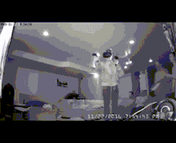 memehumor:VR Sky-Diving
