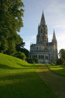 visitheworld:  The green path to St. Fin Barre’s Cathedral, Cork / Ireland (by Éole). 