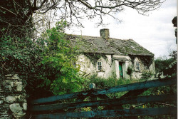 arquerio:  Ruined cottage, Wexford by amki222 on Flickr.