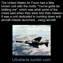 ultrafacts:    Wild Weasel is a code name given by the United States Armed Forces, specifically the US Air Force, to an aircraft, of any type, equipped with radar-seeking missiles and tasked with destroying the radars and SAM installations of enemy air