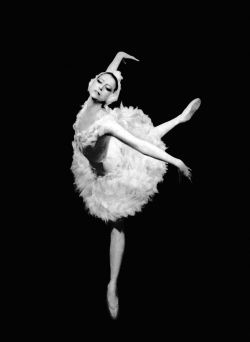 netlex:    Майя Плисецкая. Балет “Лебединое Озеро”.    Maya Plisetskaya   (1925 - 2015) Ballet “Swan Lake”    City’s gold medal of Paris by mayor of Paris Jacques Chirac    Commander of the Order of Arts and