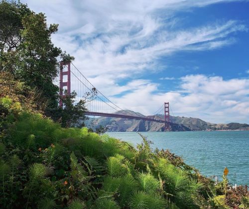 #views #goldengatebridge @golden_gate_bridge #sf  (at Golden Gate Bridge) https://www.instagram.com/p/CSLdR2crzwO2t2pa24Vj2qPQKR9PzzYPE9_4EA0/?utm_medium=tumblr