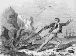 biomedicalephemera:  Let us dance! A giant octopus (Enteroctopus spp.) grapples a sailor, clearly in an attempt to steal a dance. Illustrated Natural History of the Animal Kingdom. S. G. Goodrich, 1859. 