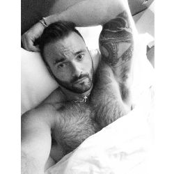 sexybeardbr:  Morning! #BARBADO #tattoo #bed #muscle #armpit #sexybeard @m2fotosist     SAVE THE DATE!  05 de setembro Balneário Camboriu | @dledclubbc  More info: facebook.com/festabarbado