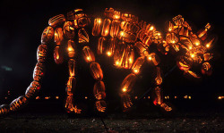 phoenixfloe:   Killer Pumpkin Arrangements at the Great Jack O’Lantern Blaze Held every year in New York, the Great Jack O’Lantern Blaze is a 25-night-long Halloween event featuring some 5,000 hand-carved, illuminated pumpkins arranged into dinosaurs,