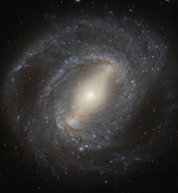 just&ndash;space:  Hubble Spies the Barred Spiral Galaxy NGC 4394 : Shown in this Hubble Space Telescope image, NGC 4394 is the archetypal barred spiral galaxy, with bright spiral arms emerging from the ends of a bar that cuts through the galaxys central