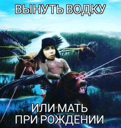 #throwbackthursday Saquen el vodka o les parto su madre #russia #mame #meme #rusia #bear #oso #desmadre #vodka #alcohol #putin #vladimirputin