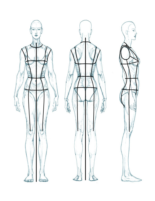 Plus size fashion figure drawing templates