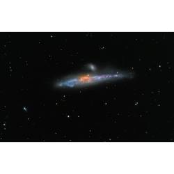 NGC 4631: The Whale Galaxy #nasa #apod #ngc4631 #thewhalegalaxy #spiral #galaxy #constellation #canesvenatici #companiongalaxy #ellipticalgalaxy #ngc4627 #universe  #interstellar #intergalactic #space #science #astronomy