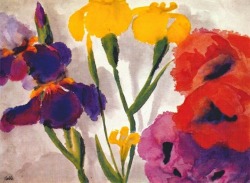 nobrashfestivity: Emil Nolde, Irises and Poppies, 1918 more 