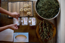 from-the-0ther-side:  l3ts-get-fri3d:  buzzfeedfood:  My Life As a Professional Cannabis Baker  My life’s dream is too be a cannabis baker.  I need your job. 