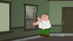 lilbitkipsy:  jadedkitten:  The eternal struggle  never did i relate more to Family Guy than this scene  XD OMG so true. And what episode is this from, I don&rsquo;t recognize it o: