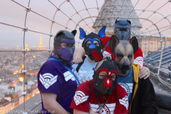 Notre Dam In Paris is amazing! These pups have had such a great trip with Pup Camp Paris! You can learn more about human pup play here: http://SiriusPup.net http://TheHappyPup.com http://PupSafeProject.org 