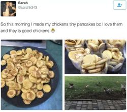 princeloki: tresanosmas:  princeloki:   surprisebitch:  pancakes are made of eggs omfg    yeah i gotta tell u something… laying boxes are often designed so the eggs roll out of sight because chickens can and will eat their own eggs ive got a chicken